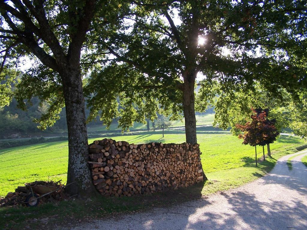 הוילה פייבה סנטו סטפנו Agriturismo Fontandrone מראה חיצוני תמונה