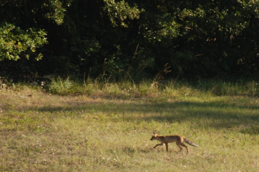 הוילה פייבה סנטו סטפנו Agriturismo Fontandrone מראה חיצוני תמונה